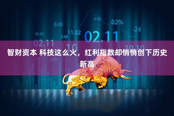 智财资本 科技这么火，红利指数却悄悄创下历史新高