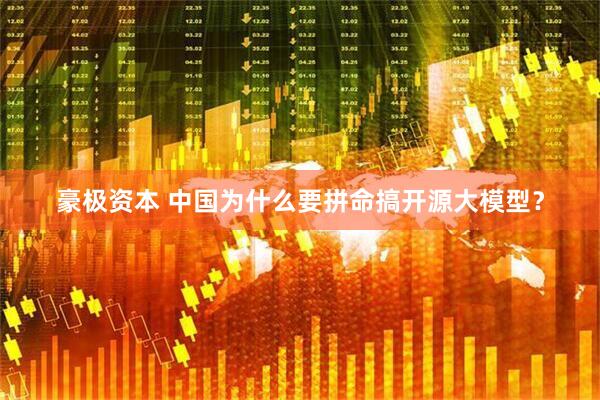 豪极资本 中国为什么要拼命搞开源大模型？