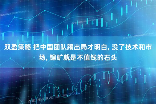 双盈策略 把中国团队踢出局才明白, 没了技术和市场, 镍矿就是不值钱的石头