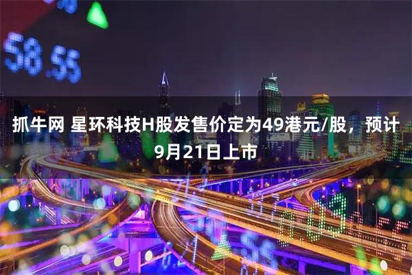 抓牛网 星环科技H股发售价定为49港元/股，预计9月21日上市